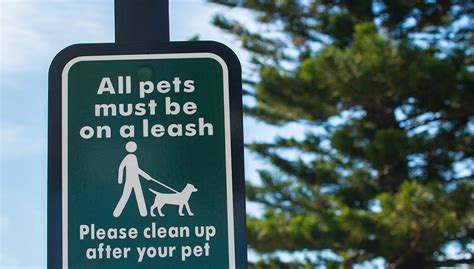 cabot city ordinance|Pet Licensing .